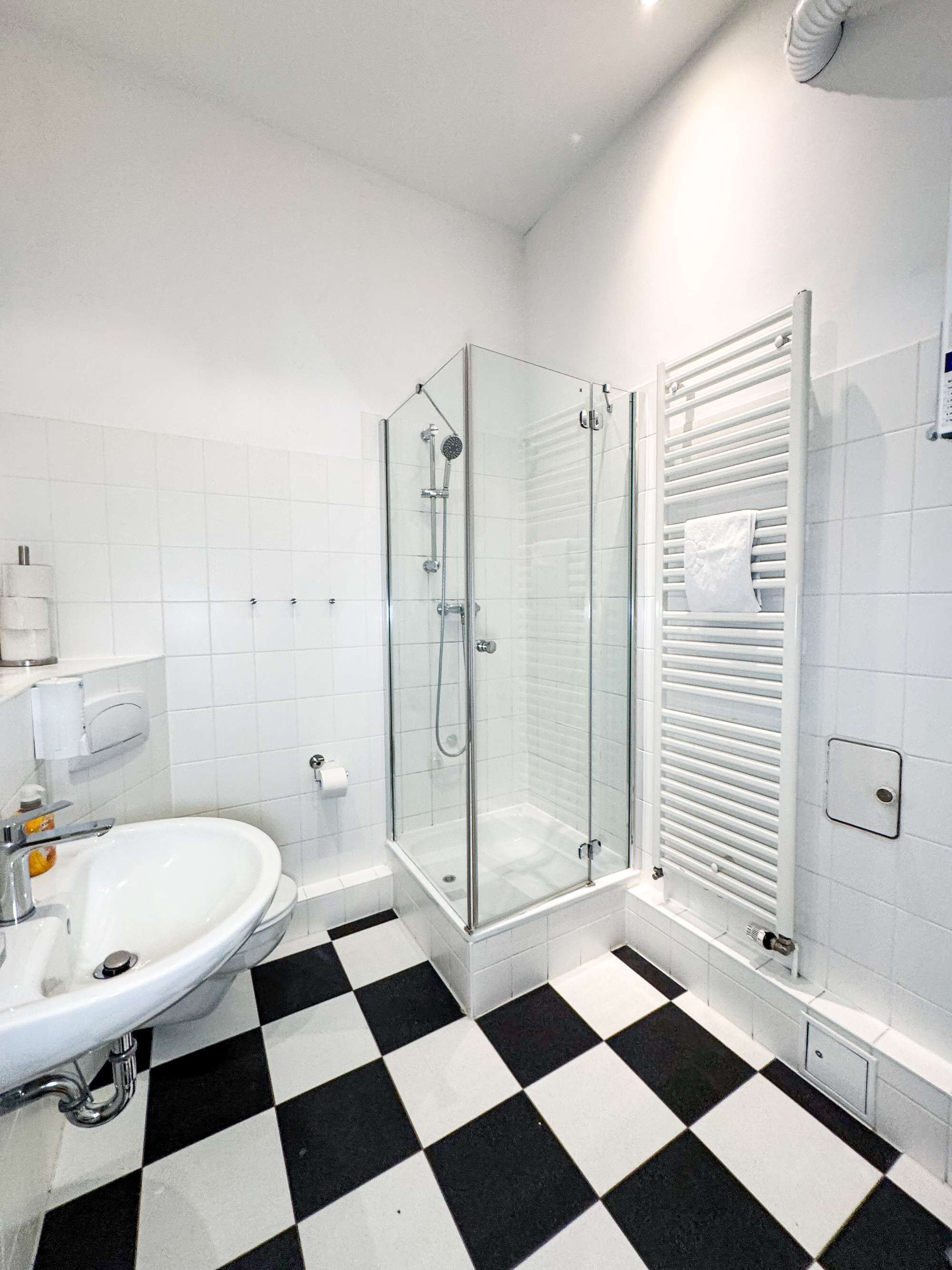 Dusche, Haartrockner, Handtücher