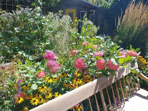 Garden Artist Loft Studio