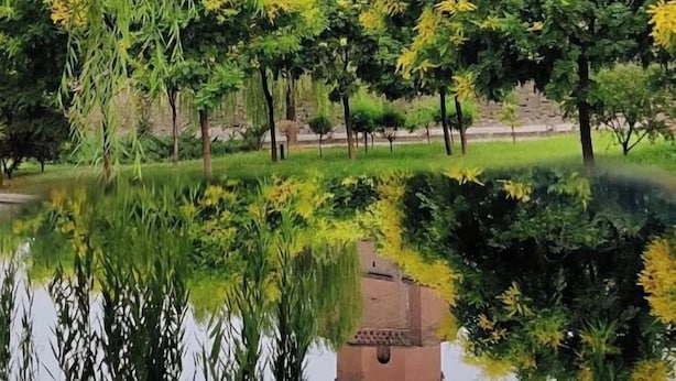 Ein friedlicher Park mit einem Teich, der Bäume spiegelt, und einem Backsteinhaus.