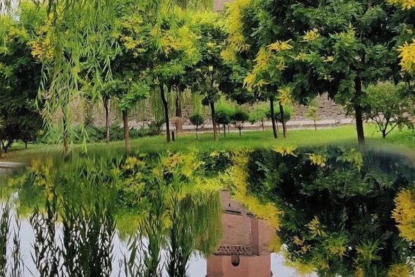 Jardines del alojamiento