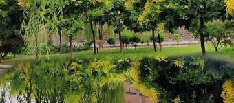 Pingyao Xingfu House