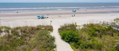 بالقرب من الشاطئ