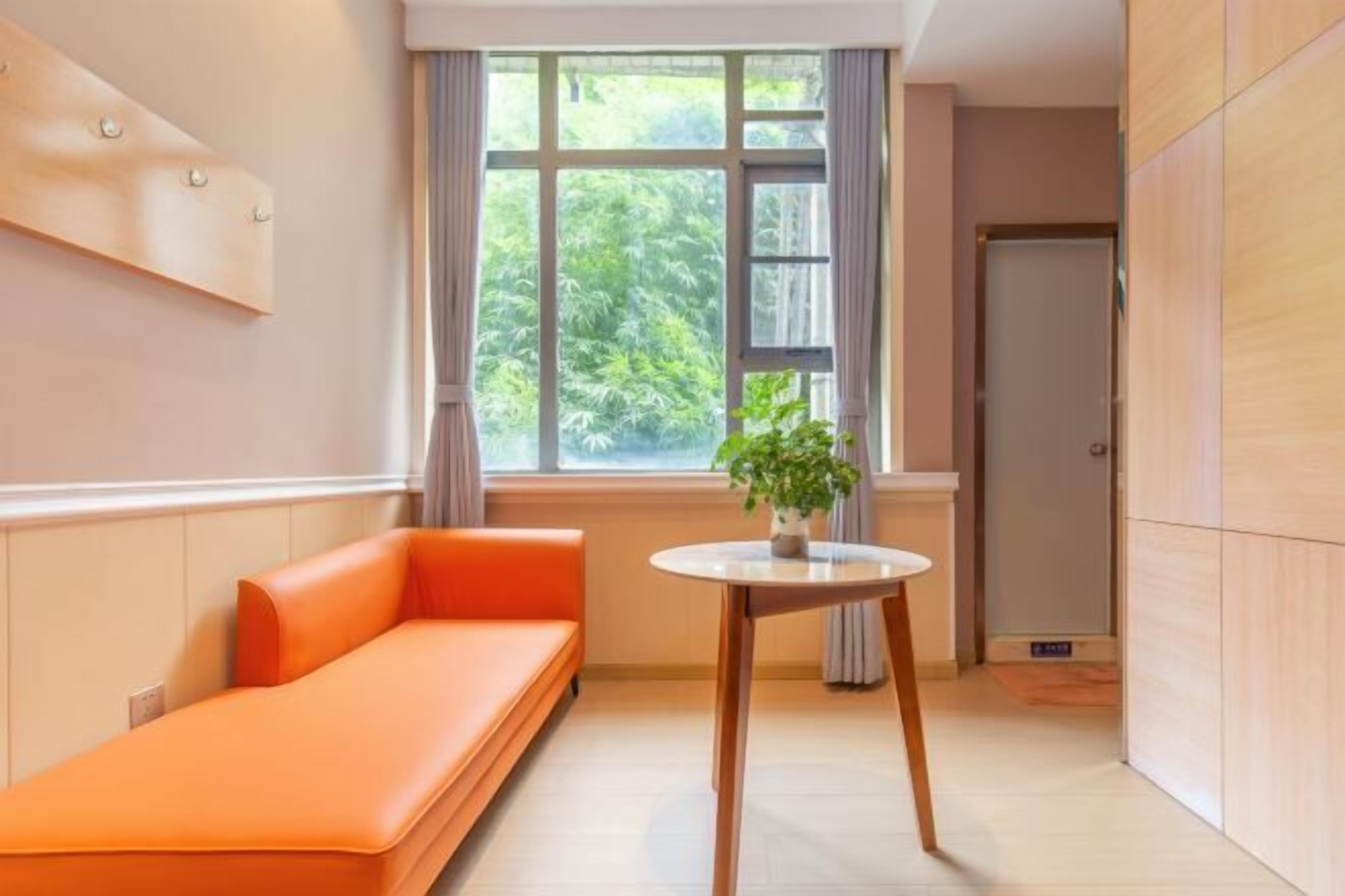 A room with a sofa, a small round table with a plant, a window with curtains, and a door in the background.
