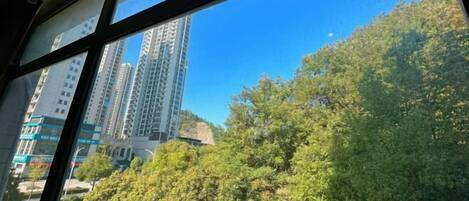 Vista desde la propiedad