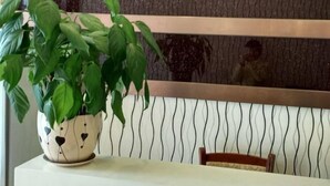 A reception area with a potted plant, a reception desk, and a wall with vertical lines. - Mingxin Hotel (Enshi City)