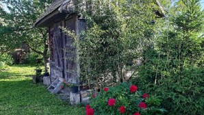A rustic stone structure with a thatched roof, surrounded by lush greenery and vibrant red flowers. - Apartment Čeliković (Draz)