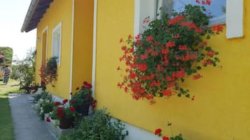 Apartment (One Bedroom Apartment with Balcony) | Exterior