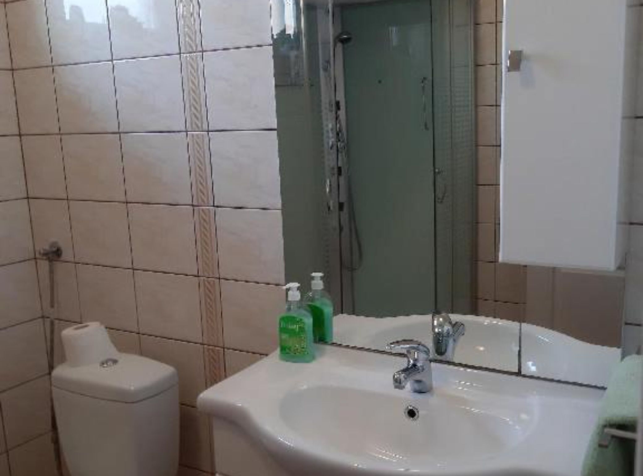 Apartment (One Bedroom Apartment with Balcony) | Bathroom