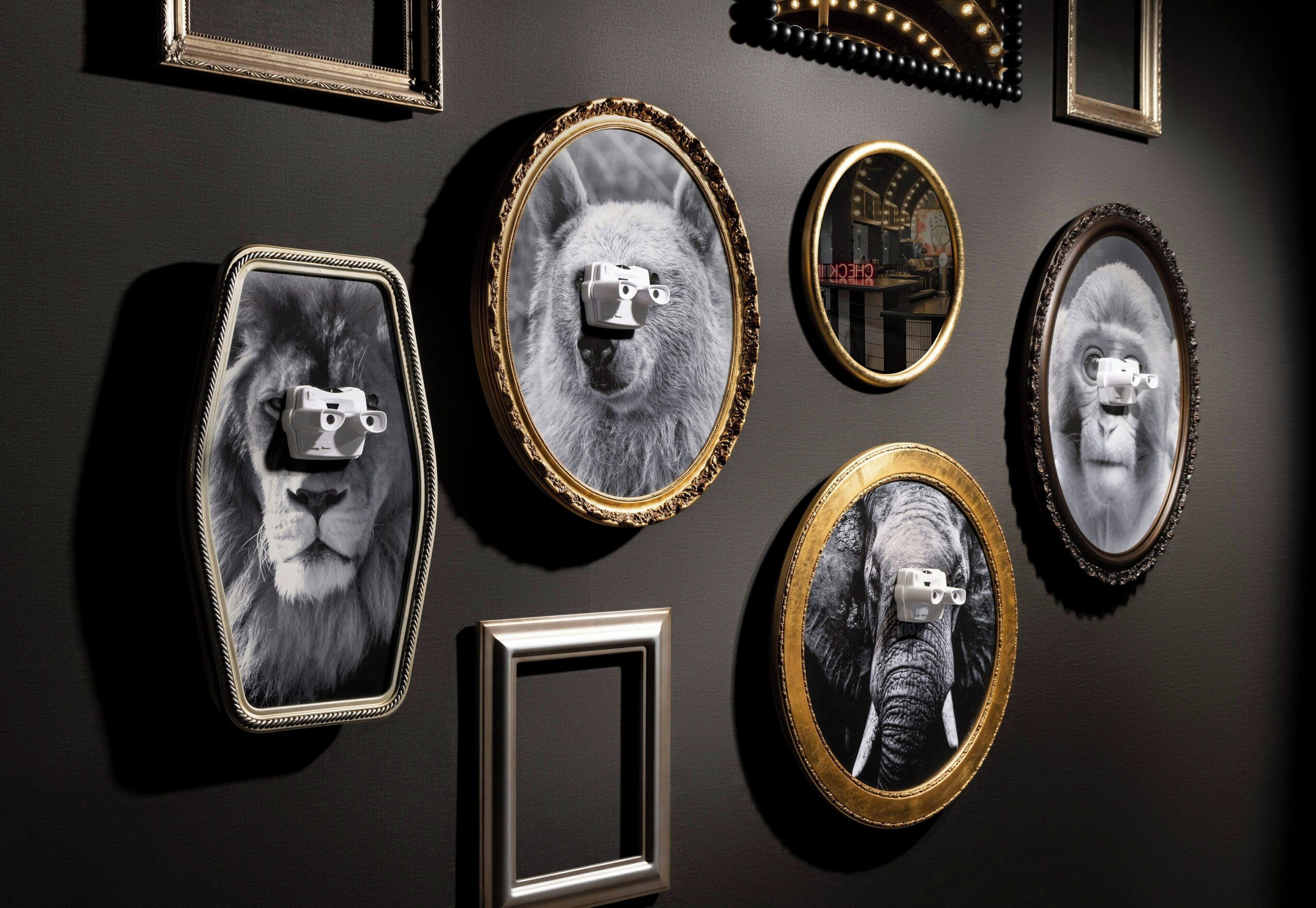 A wall with various framed pictures and mirrors.