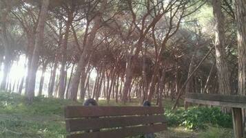 Enceinte de lâhĂ©bergement