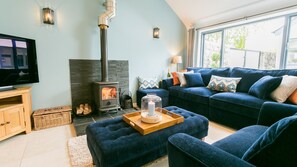 TV, fireplace, books - Olinda Cottage -  a ground floor bedroom that sleeps 6 guests  in 3 bedrooms (Beaumaris)