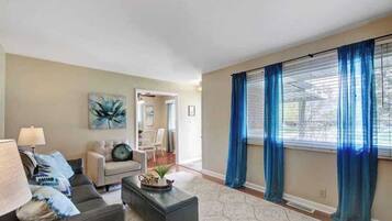 Fernseher, Arbeitsbereiche