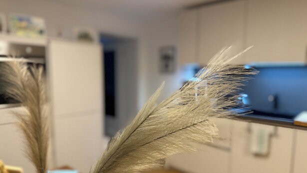 A close-up of a decorative feather in a room with a wooden floor and white cabinets.
