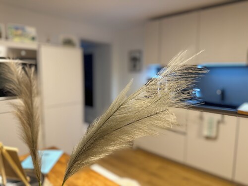 Exklusive Business und Ferienwohnung