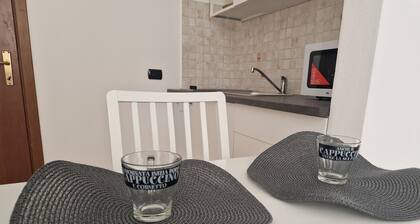 Casa Leo: Indipendent apt 1bdr Near Malpensa Airport