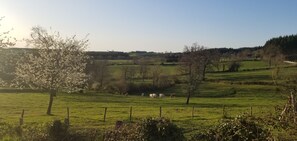 Un paysage rural avec un champ d’herbe, des arbres et une clôture.