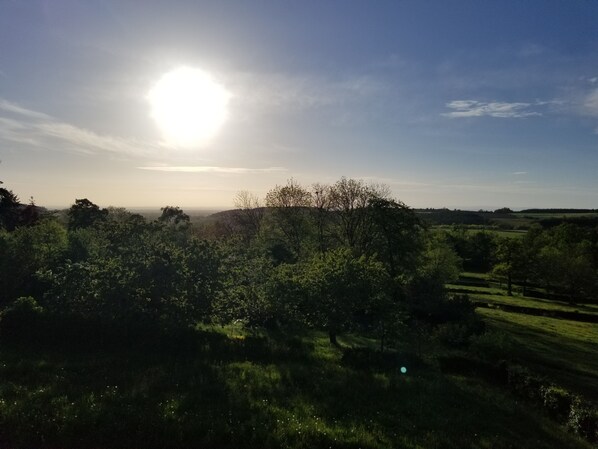 4 bedrooms, iron/ironing board, travel cot, bed sheets