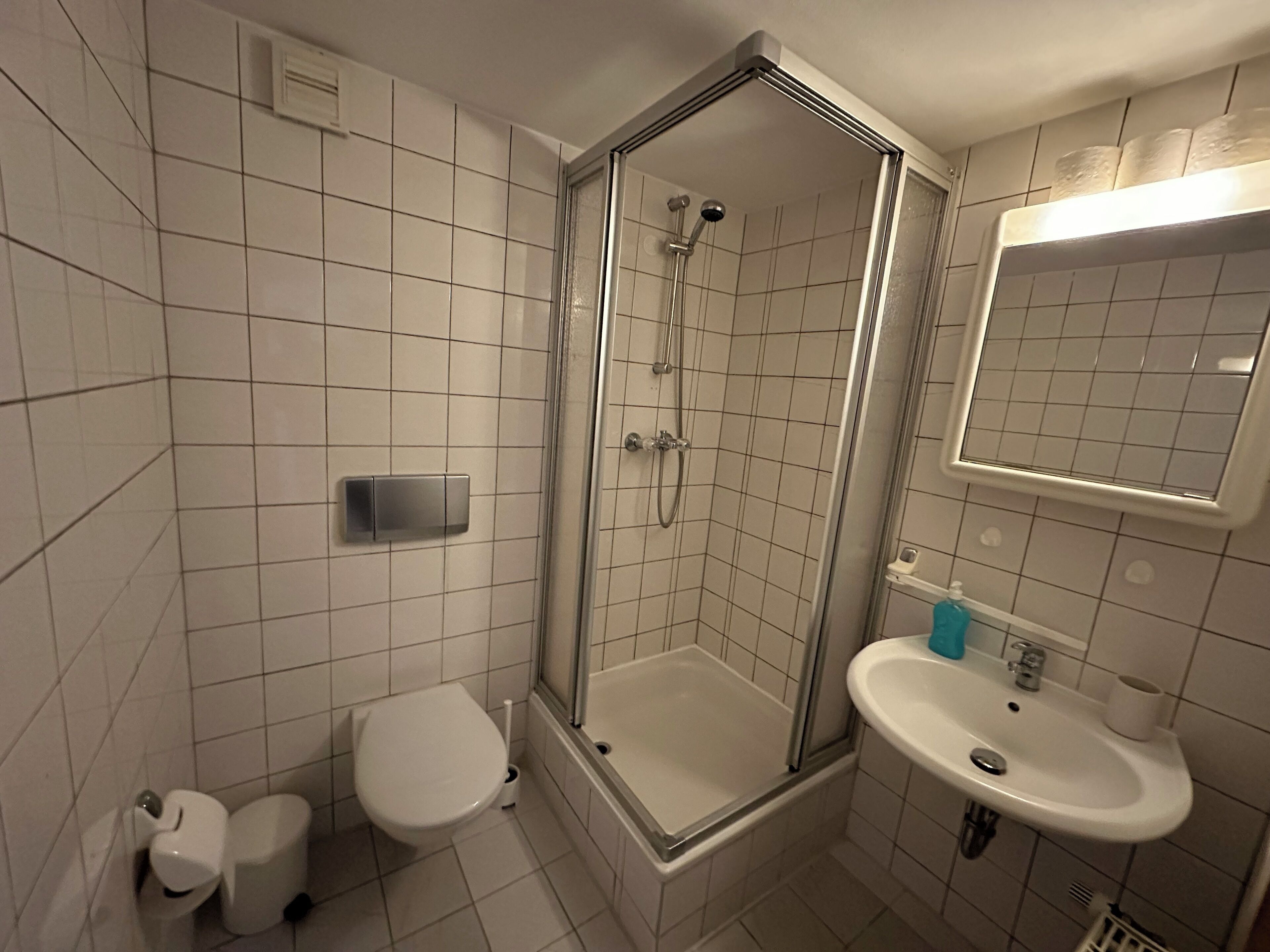 Ein Badezimmer mit Duschkabine, Toilette und Waschbecken mit Spiegel darüber.