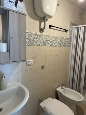 Shower, hair dryer, bidet, towels