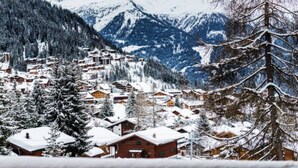 A snow-covered mountain village with traditional wooden houses and a dense forest.