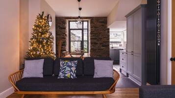 TV, fireplace, books