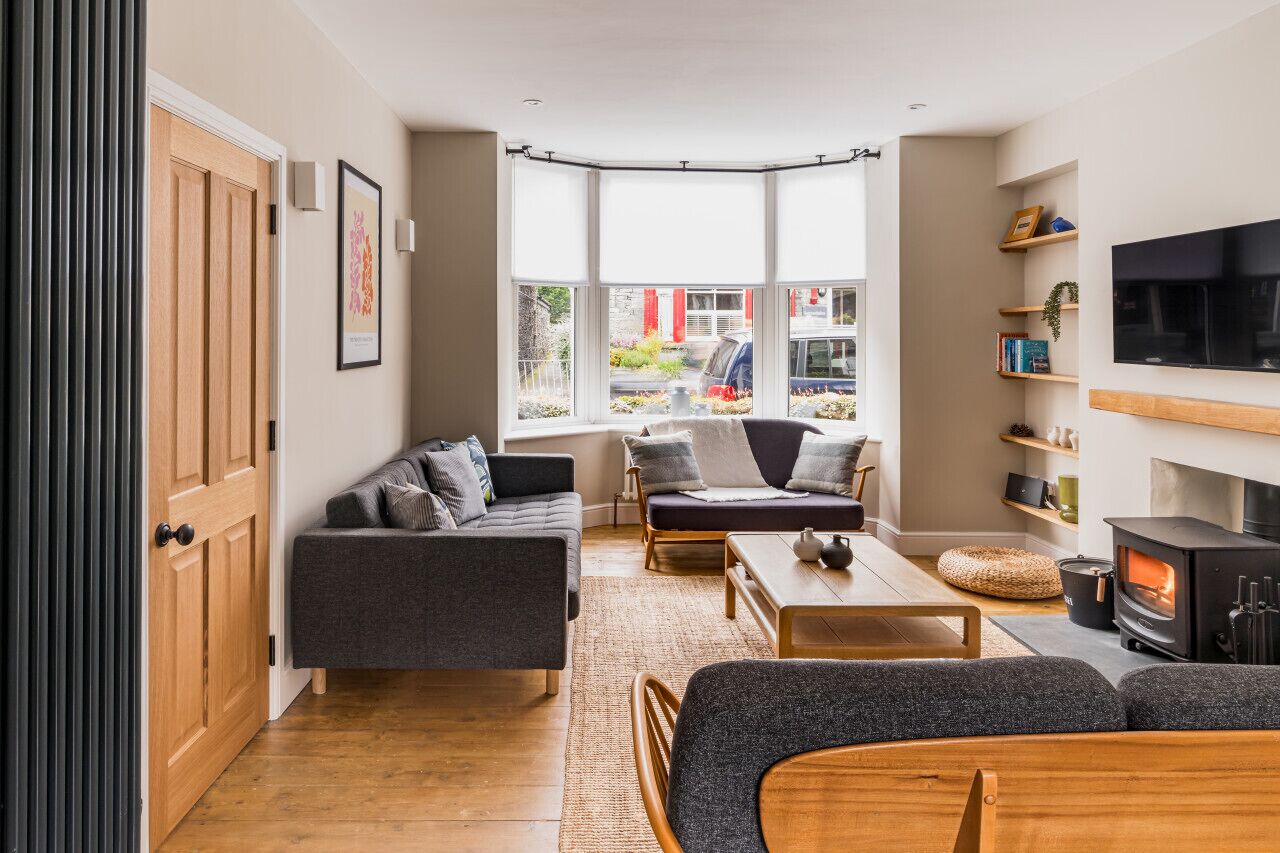 Televisión, chimenea, libros