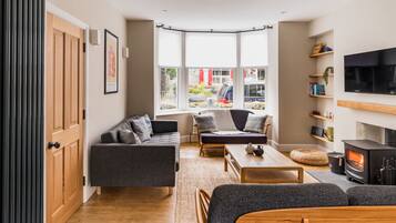 TV, fireplace, books