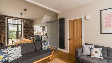 TV, fireplace, books