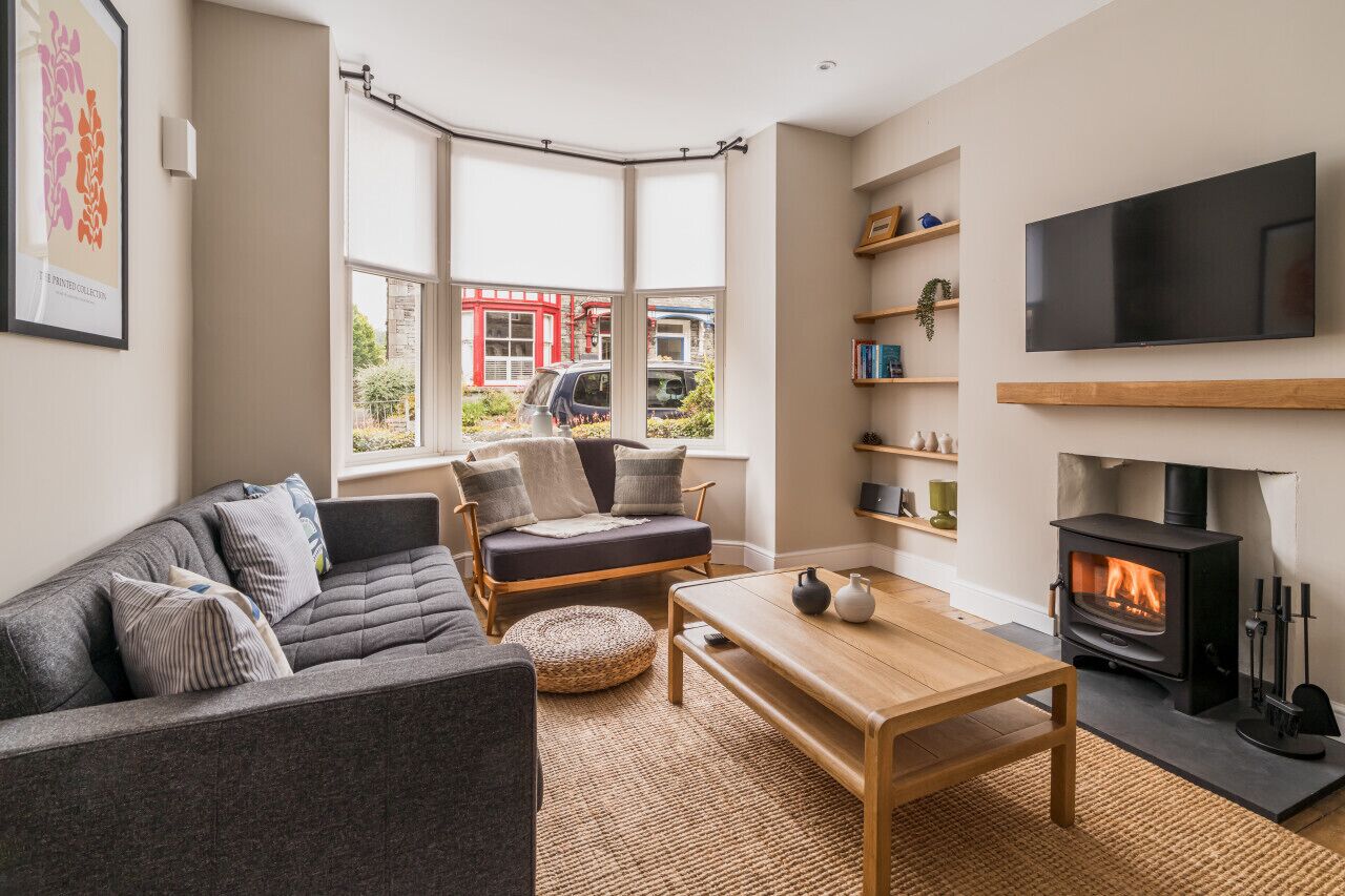 TV, fireplace, books