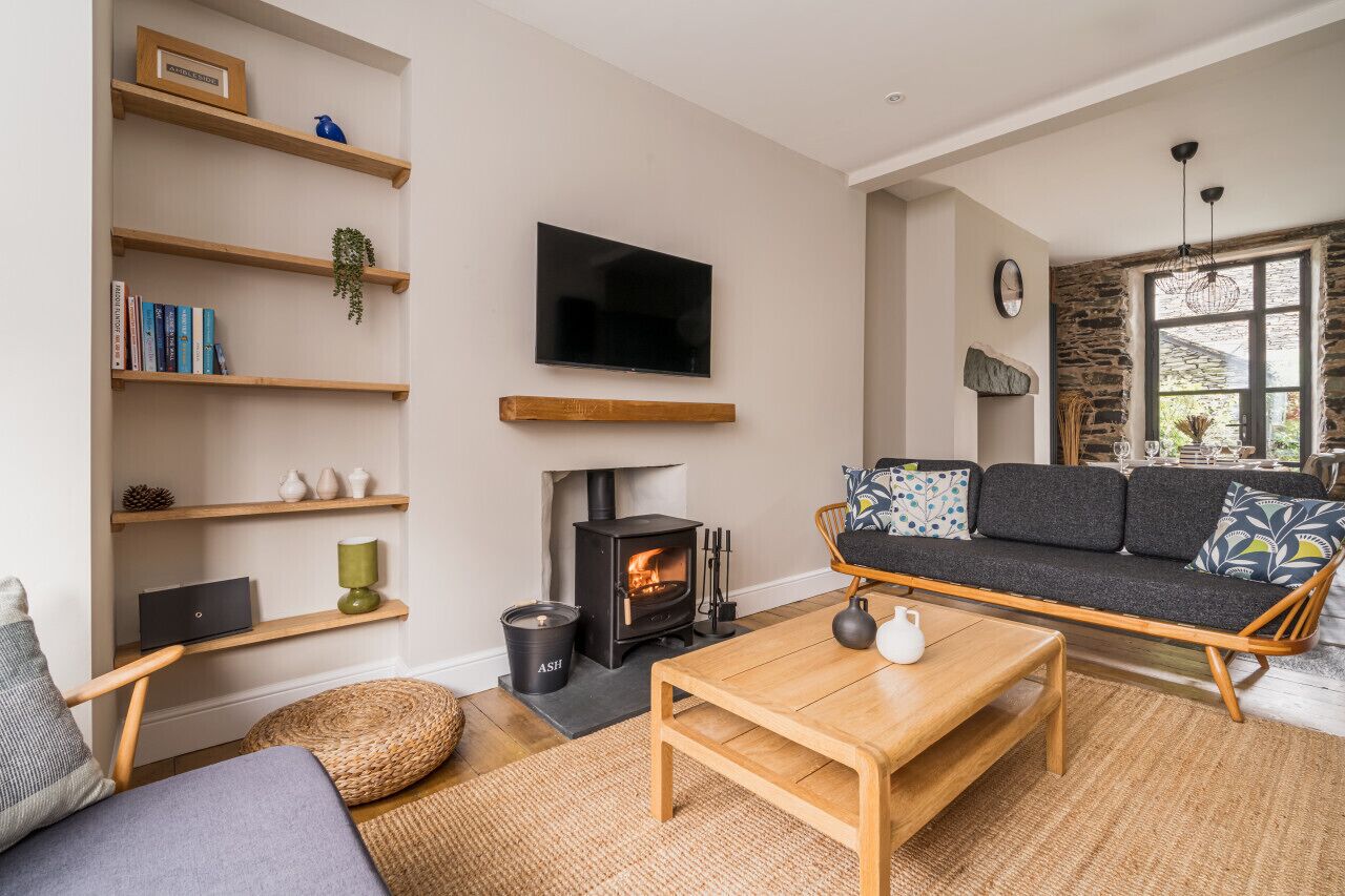 TV, fireplace, books