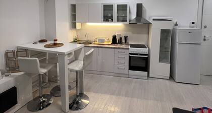 Belgrade Center Apartment Lux IV