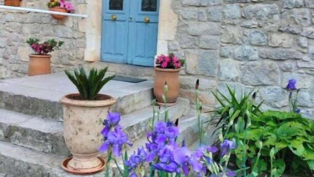 A stone building with a blue door, potted plants on the steps, and purple flowers in the foreground.