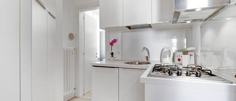 Fridge, microwave, dishwasher, electric kettle