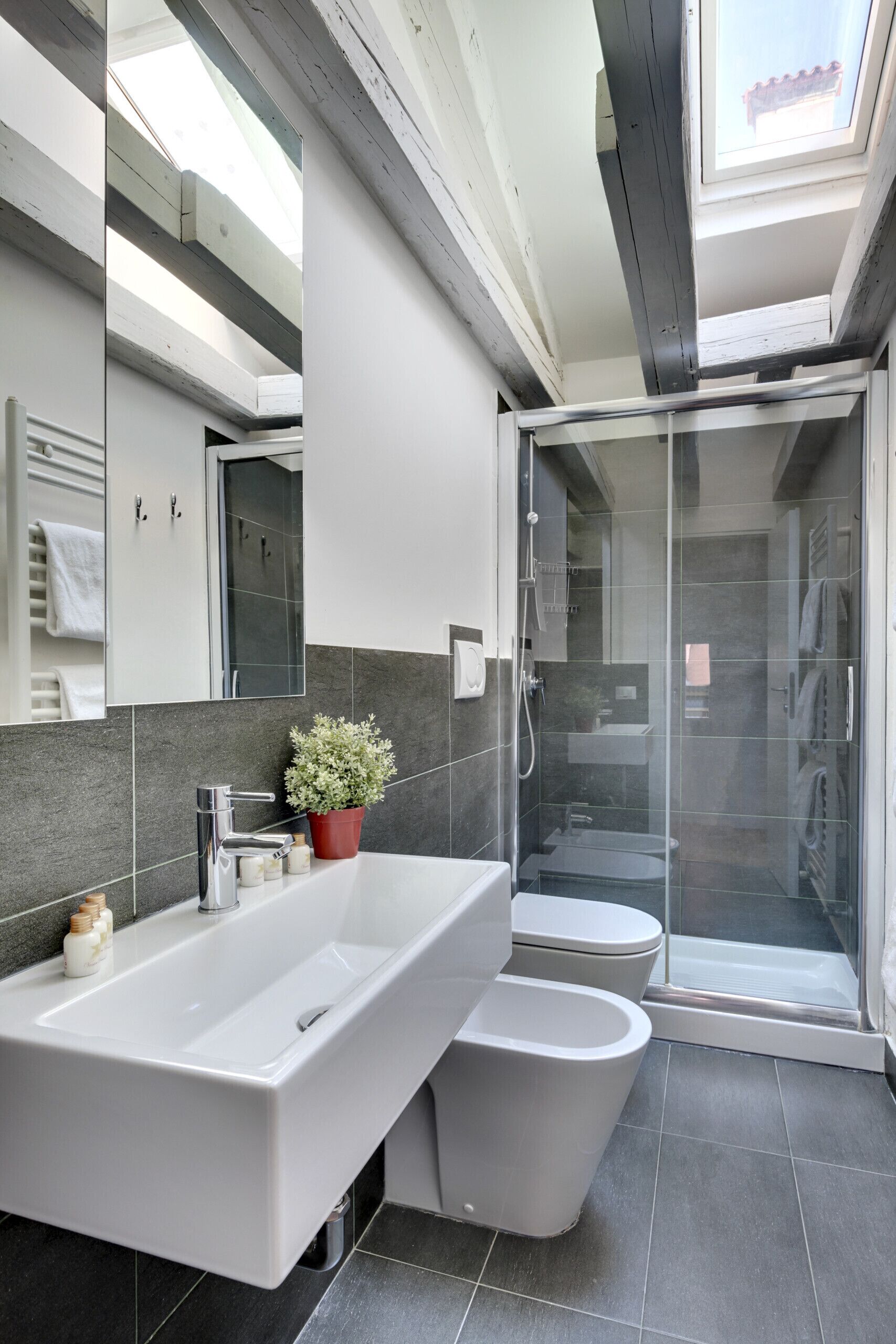 Regadera, secadora de cabello, bidet, toallas 