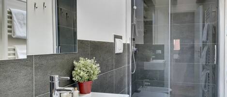 Regadera, secadora de cabello, bidet, toallas