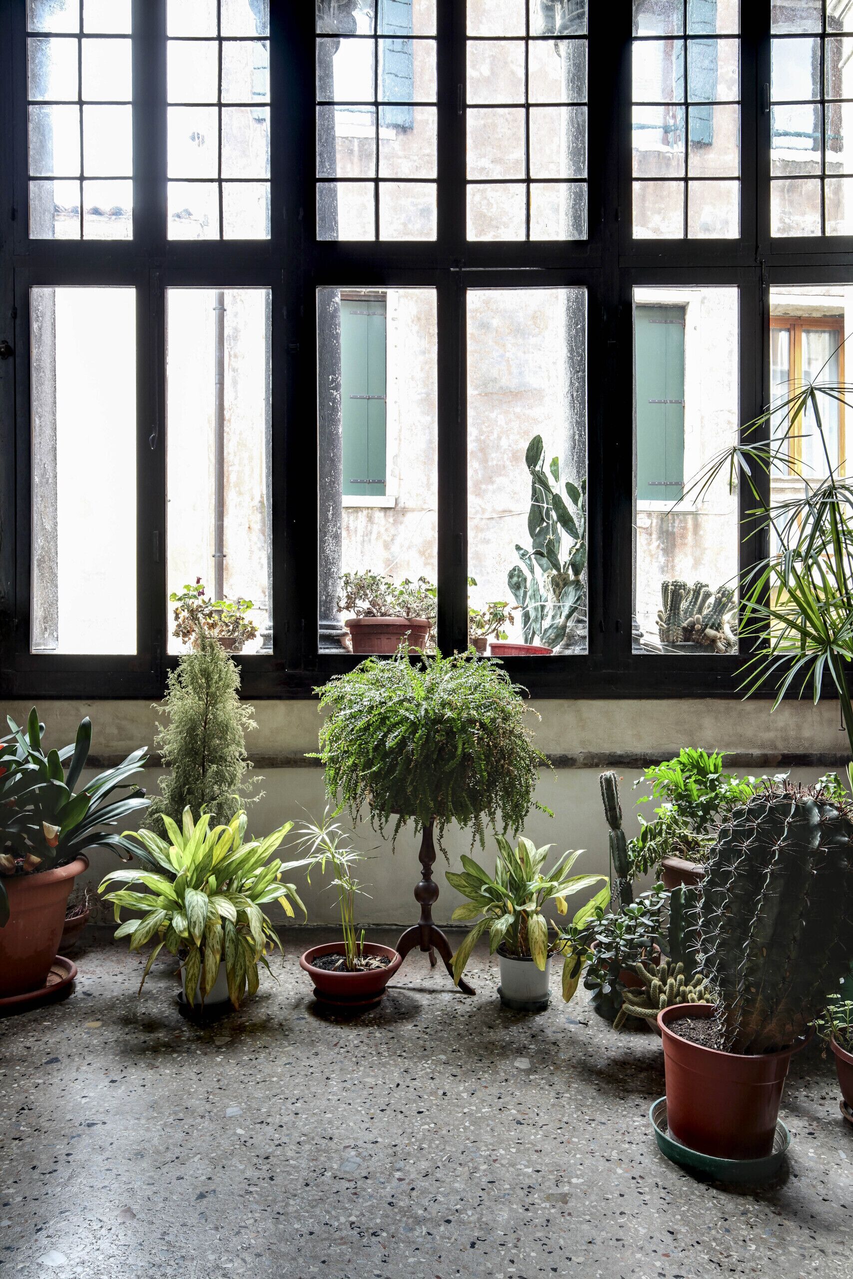 A room with large windows, potted plants, and a view of the outside.