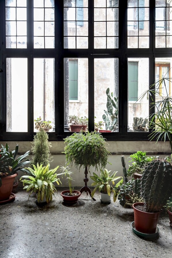 A room with large windows, potted plants, and a view of the outside.