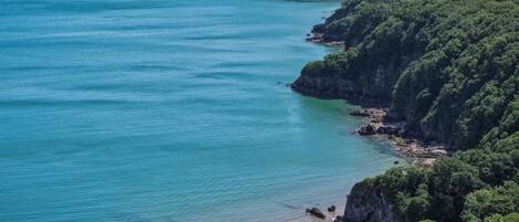 A coastal landscape with a beach, rocky shoreline, and dense greenery.