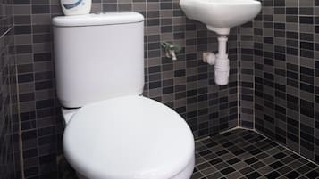 Shower, free toiletries, towels, soap
