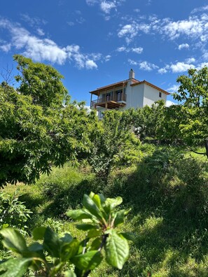 Property grounds - Pnoé Residence (SKOPELOS ISLAND)