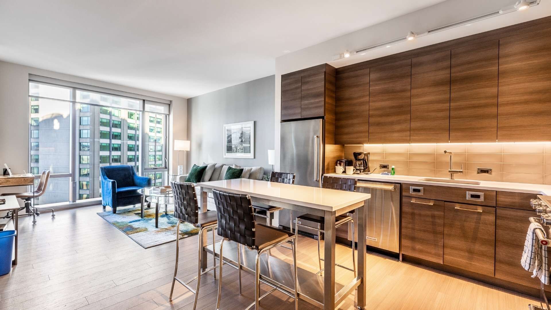 Spacious Apt In Heart of Back Bay - 30-1409