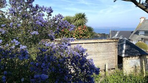 A residential area with a view of the sea, a wooden fence, and a variety of flowering plants.