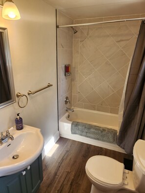 Hair dryer, towels, soap, shampoo