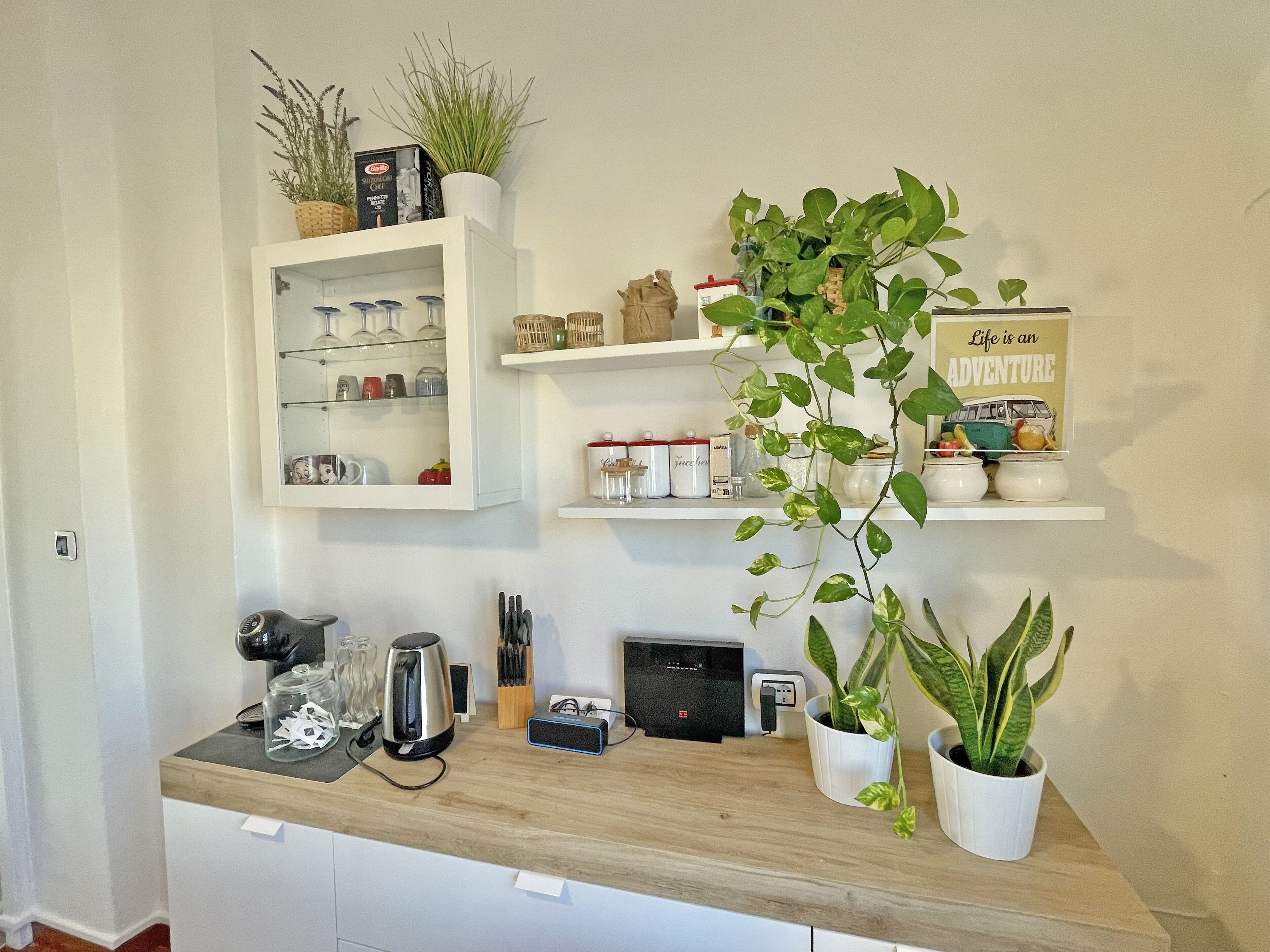 A kitchen with white cabinets, a wooden countertop, and various kitchen appliances. There are potted plants on the countertop and shelves above the counter.