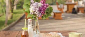 3-bedroom villa in a heart of Istra with AC, WiFi