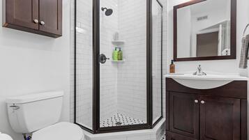 Shower, hair dryer