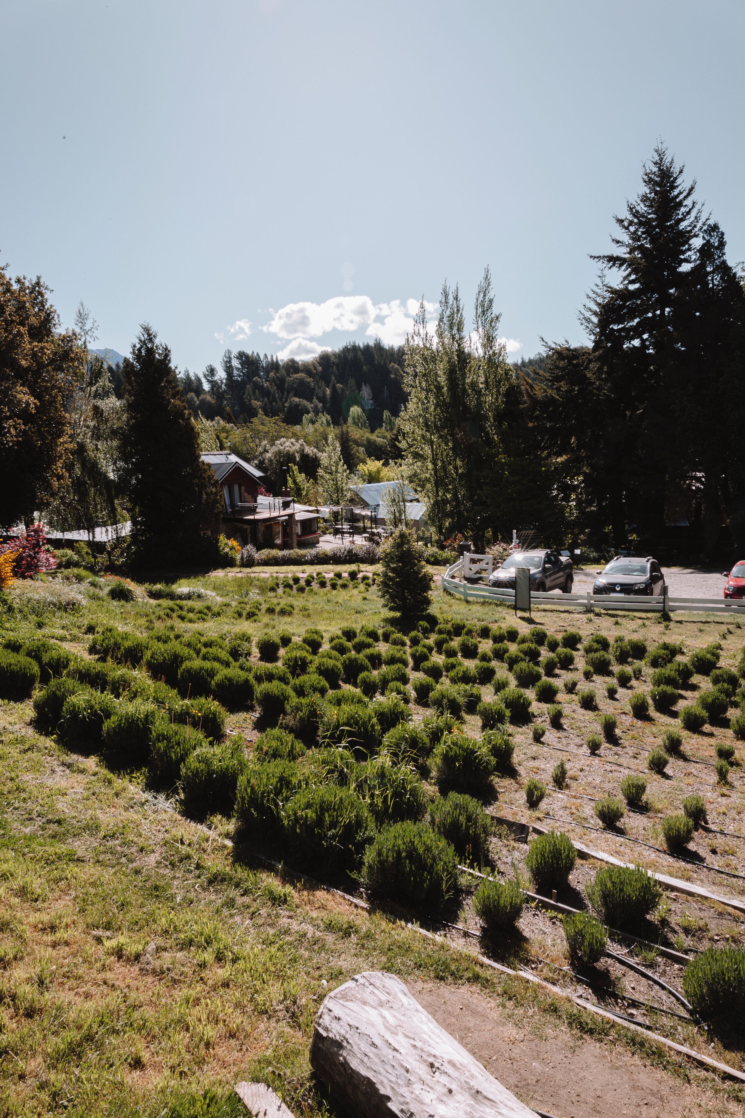 Foto - Equs Posada de Campo