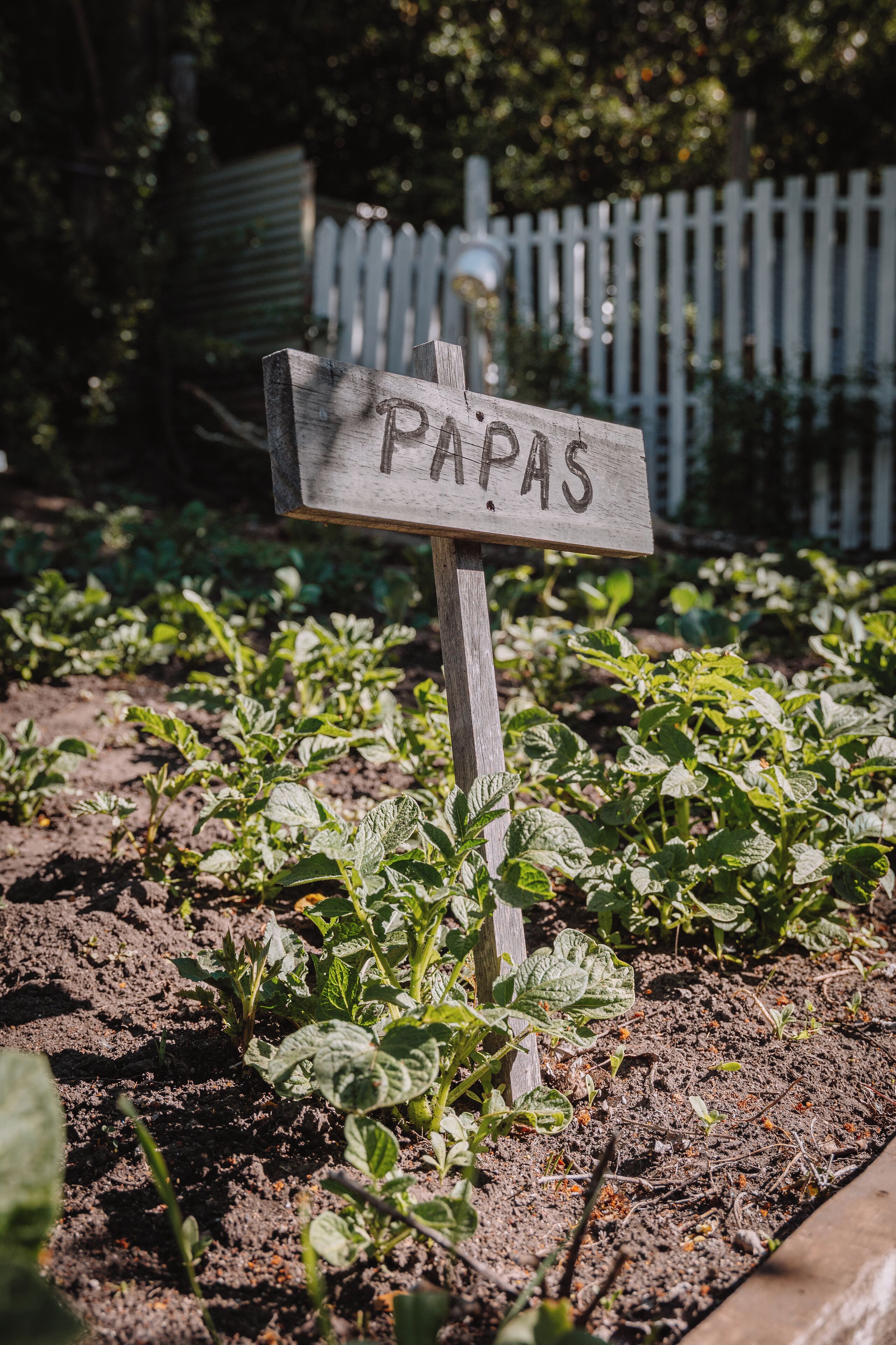 Foto - Equs Posada de Campo