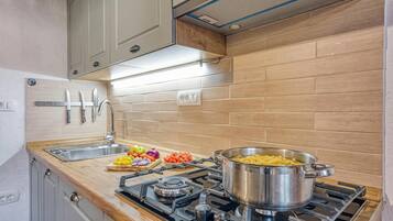 Fridge, stovetop, cookware/dishes/utensils, freezer