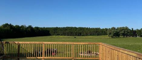 Baignoire à remous extérieure